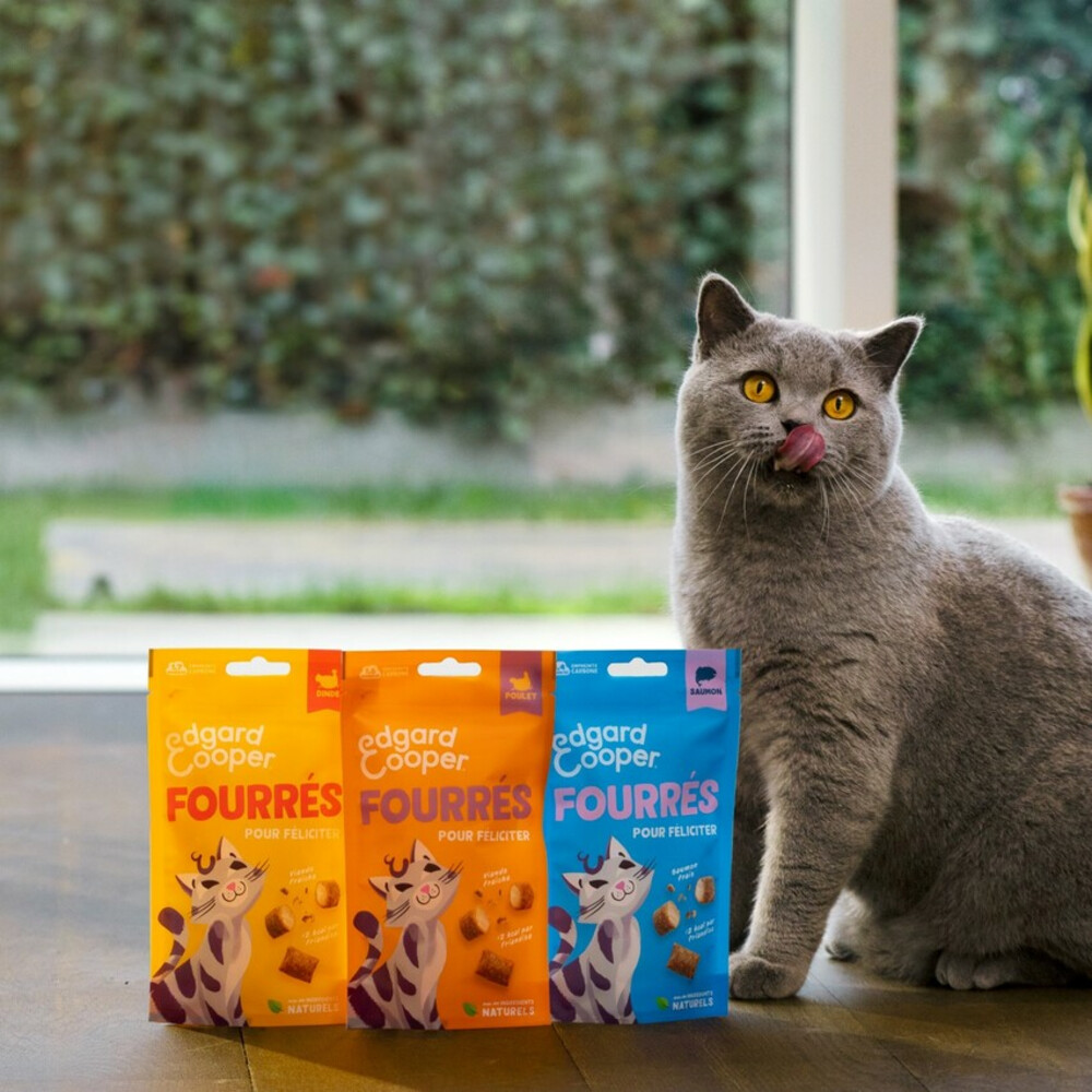 Edgard & Cooper Adult Pillows Kattensnack Kalkoen60 gr
