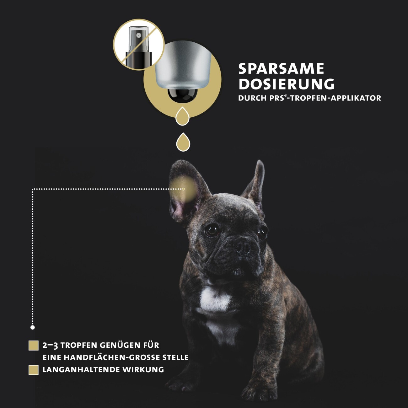 Peticare Anti-Parasiten Mittel für Hunde-Ohren, gegen Ohrmilben Pilze 50 ml
