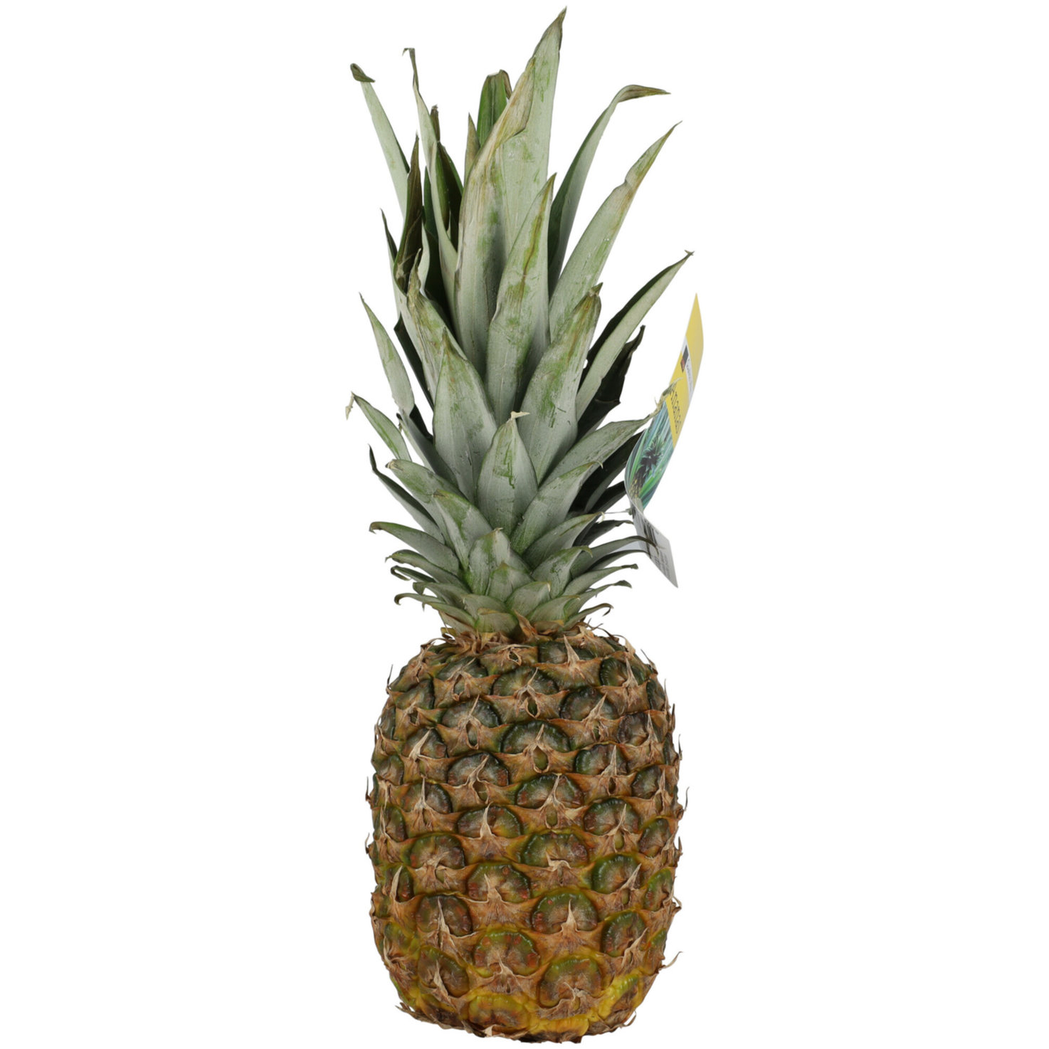 Fairtrade Ananas extrasüss 1 Stück -