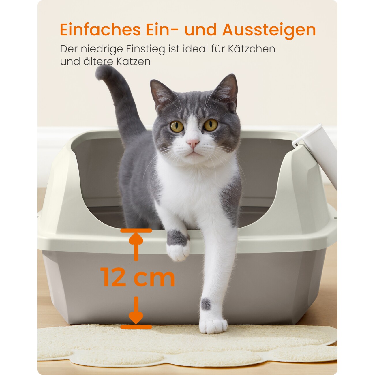 FEANDREA Katzenklo mit hohen Seitenwänden, offene Katzentoilette, mit Schaufel