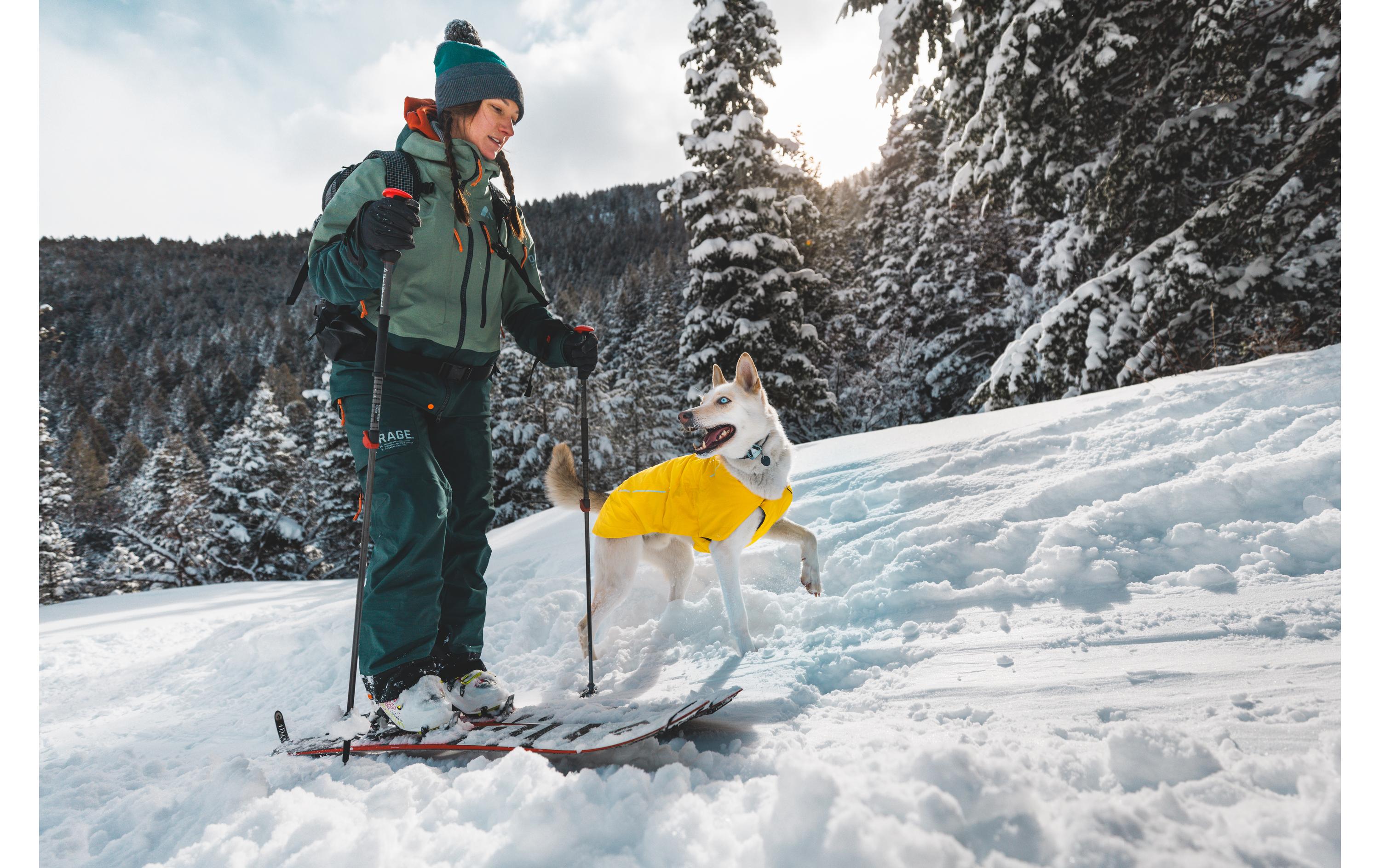 Wintermantel Vert Jacket Gelb, MHunde-Winterjacke