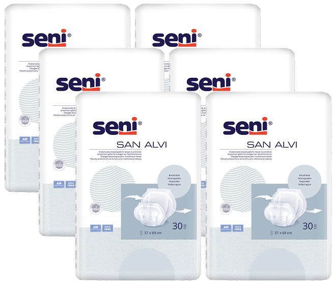 Seni San Alvi