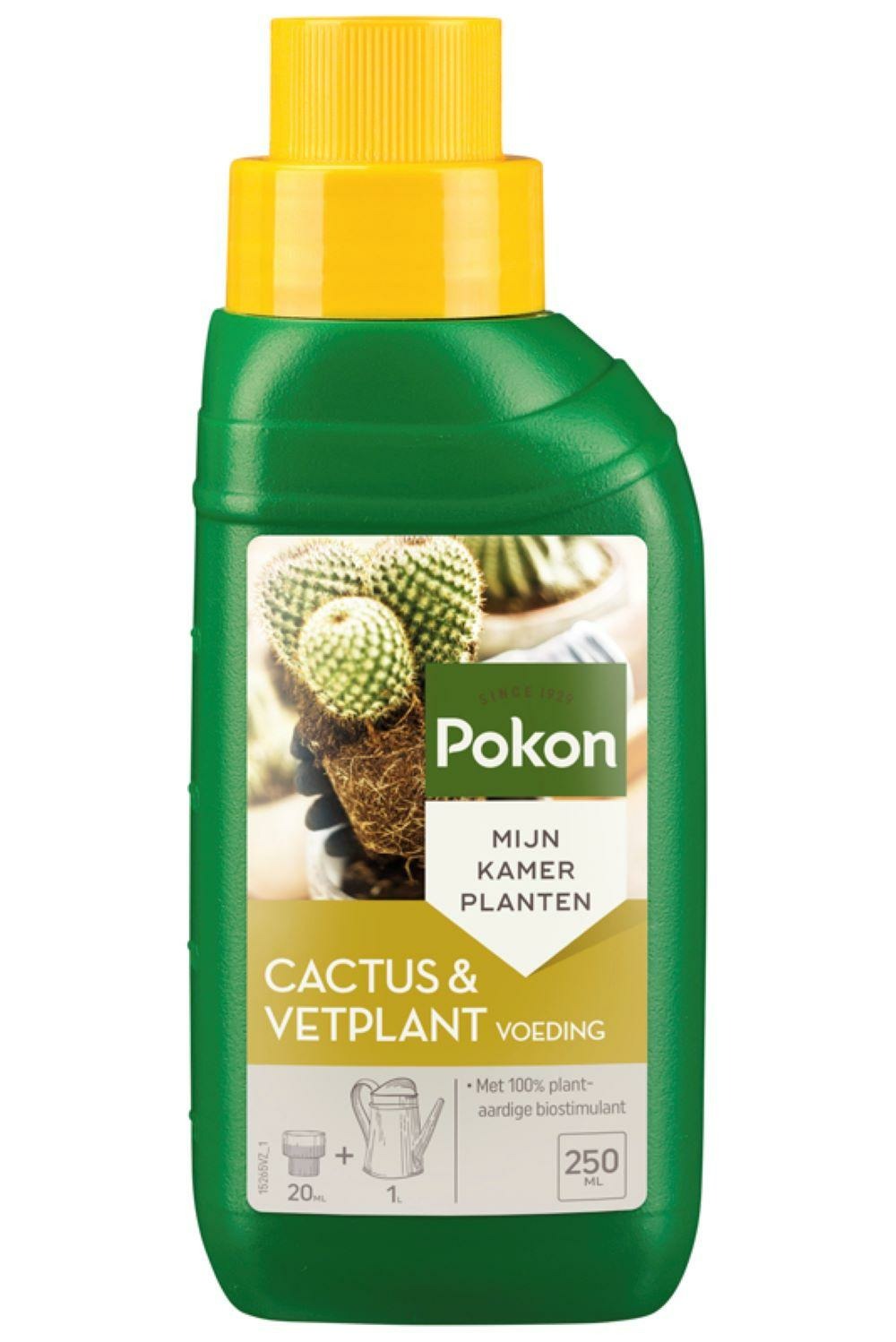 Engrais cactus et succulentes - 250ml