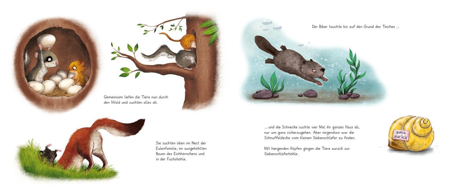 Die Geschichte vom kleinen Siebenschläfer, der seine Schnuffeldecke verloren hatte / Der kleine Siebenschläfer Bd.7