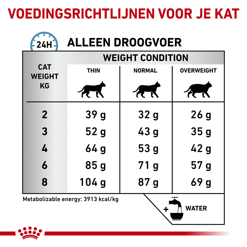 Royal Canin Anallergenic Kat