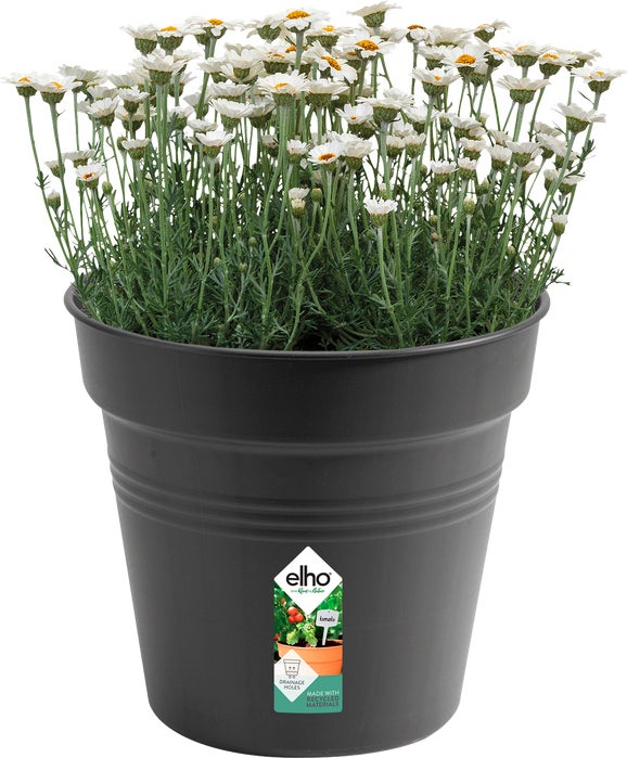 Elho kweekbak Green Basics zwart D 30 H 27,7 cm