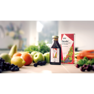 Salus Elixer Floradix 500ML