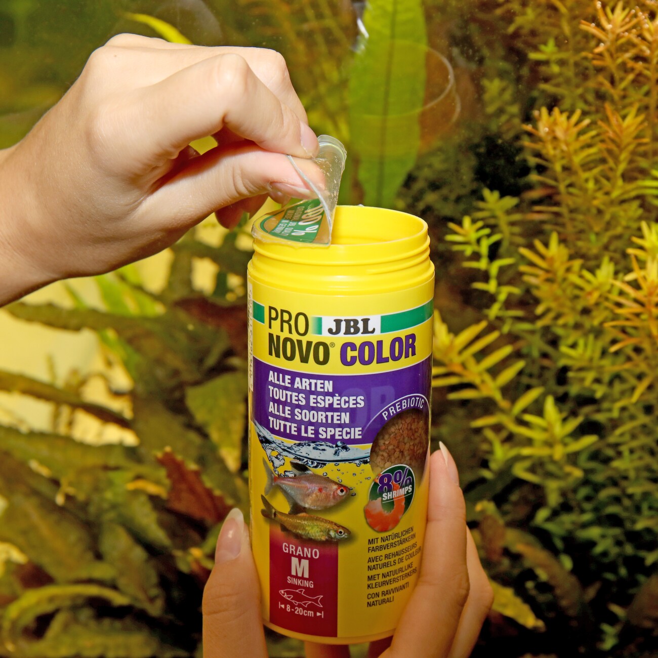 JBL PRONOVO Color Grano M 250ml