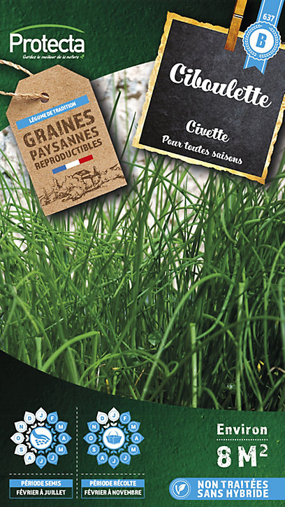 Graine de ciboulette civette Protecta