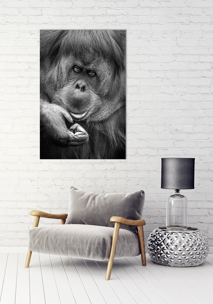 Akustikbild ORANG-UTAN 80x120cm, 7kg