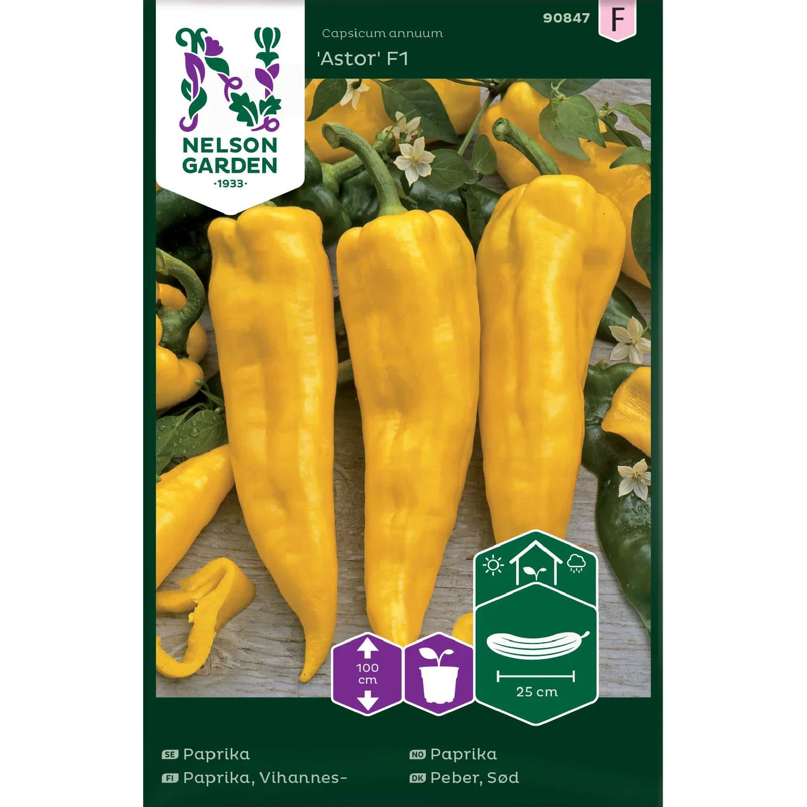 Capsicum annuum 'Astor' Paprika 'Astor' F1