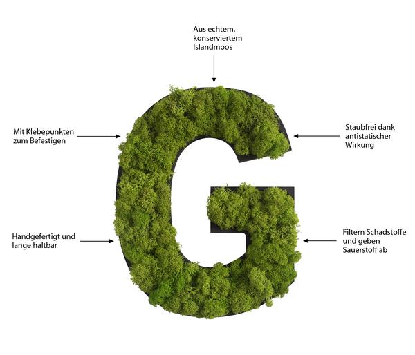 styleGREEN Buchstaben aus Islandmoos, ca. H25
