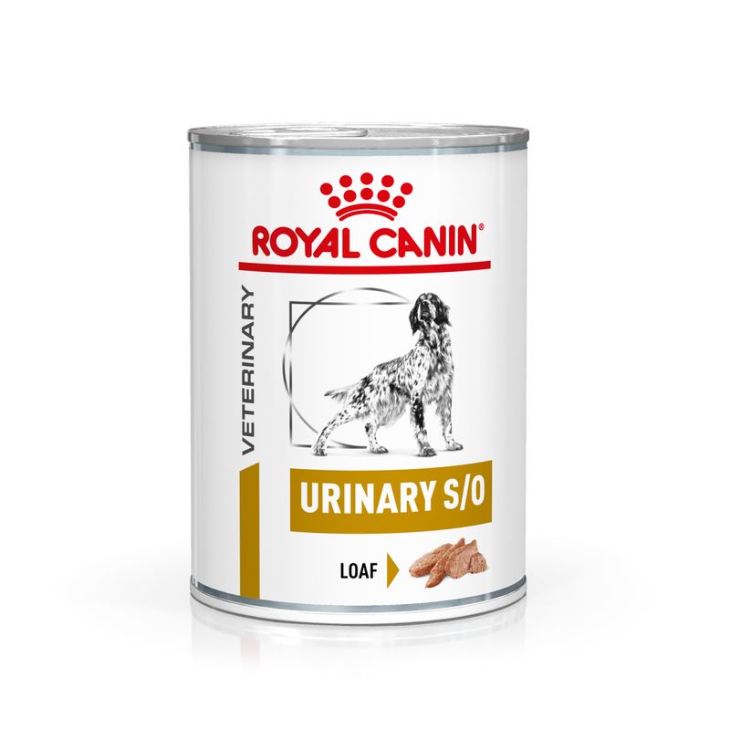Royal Canin Veterinary Canine Urinary S/O en mousse