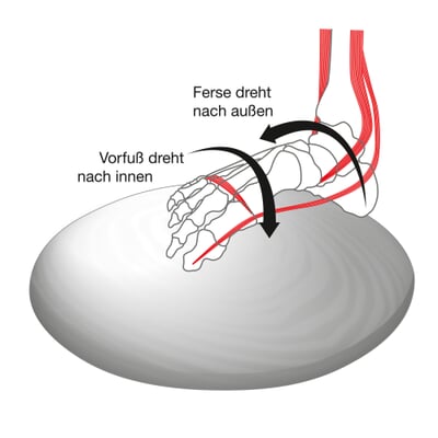 Fuß- und Beinachsentrainer