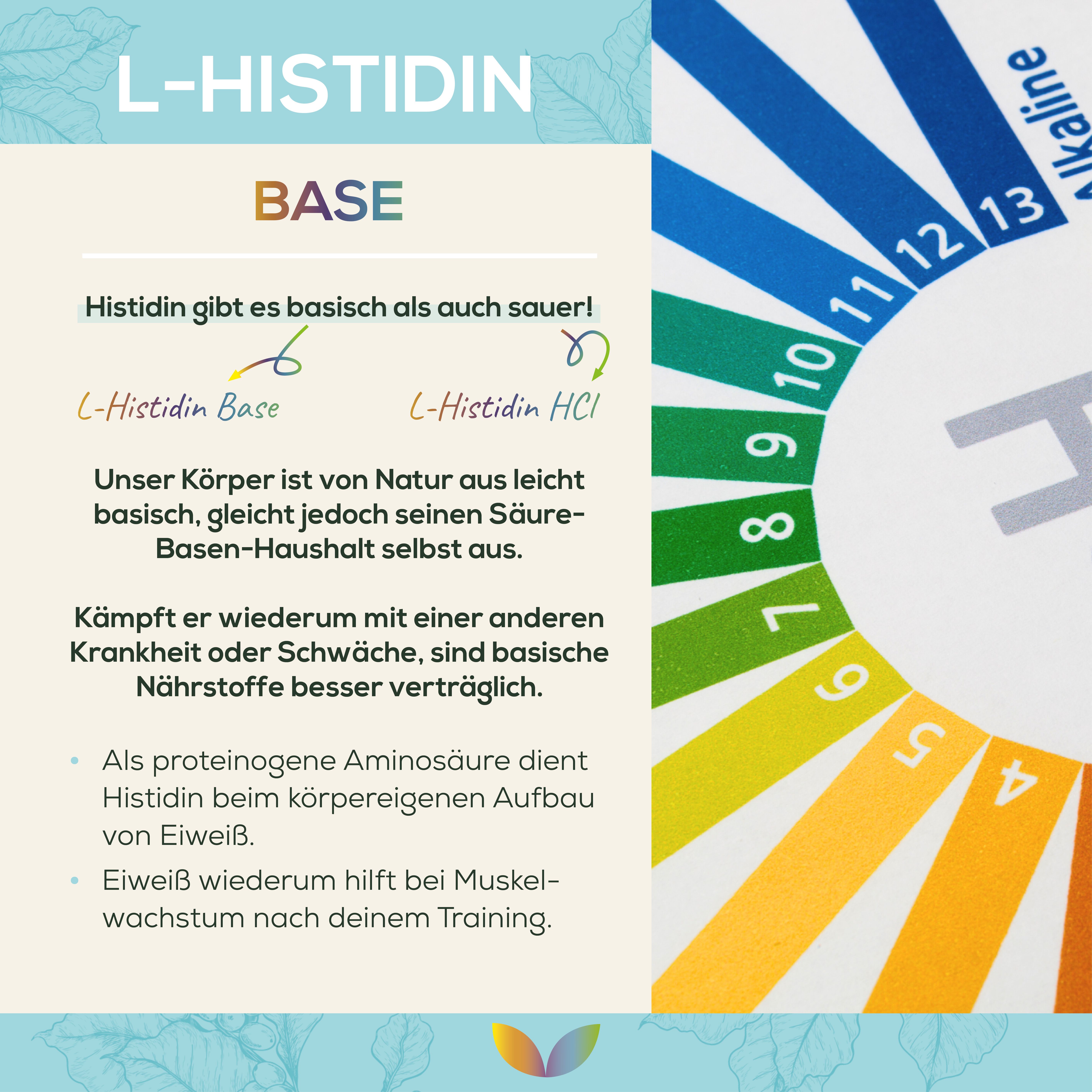 Sanutrition® - reine L-Histidin Base