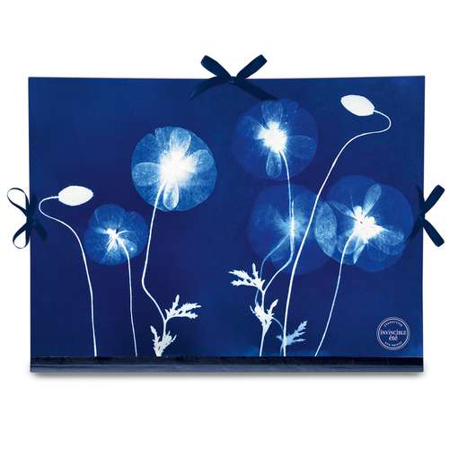 Clairefontaine Cyanotype Zeichenmappe – Invincible Été