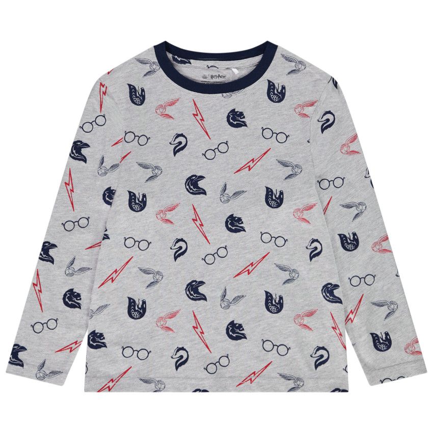 T-shirt manches longues en jersey imprimé Harry Potter pour garçon - Gris chiné