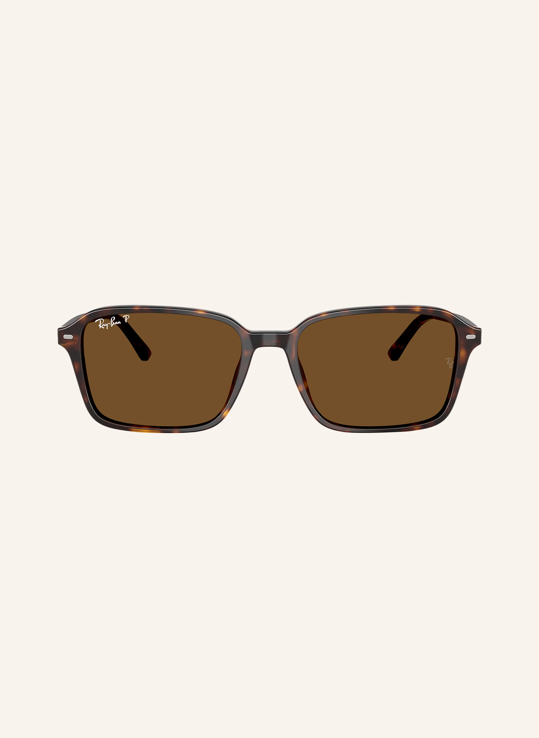 Ray-Ban Sonnenbrille RB2231 RAIMOND