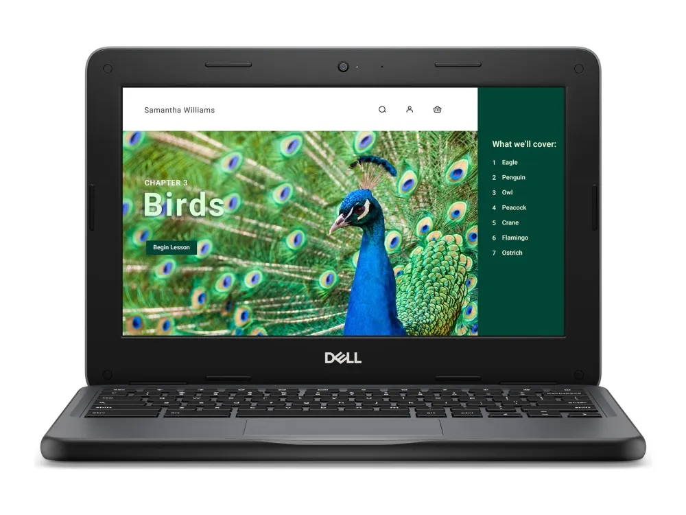 Dell Chromebook 3120 (2024) - Intel N-series - N100 / op til 3.4 GHz - Chrome OS - UHD Graphics - 8 GB RAM - 64 GB eMMC - 11.6