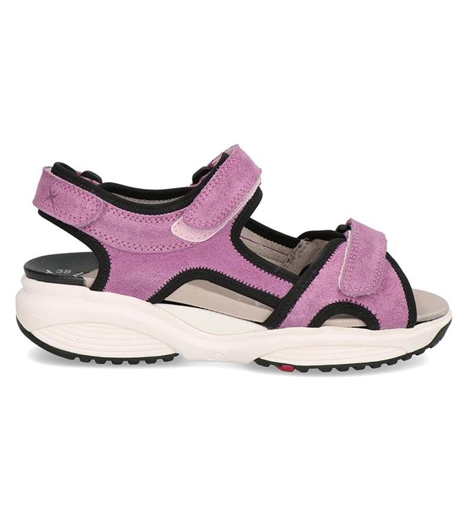 Xsensible 30299.5 wijdte H Lilac