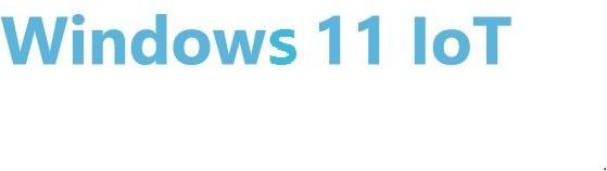 968TW1124EL0XE - Advantech Windows 11 IoT Ent. LTSC 2024, Entry