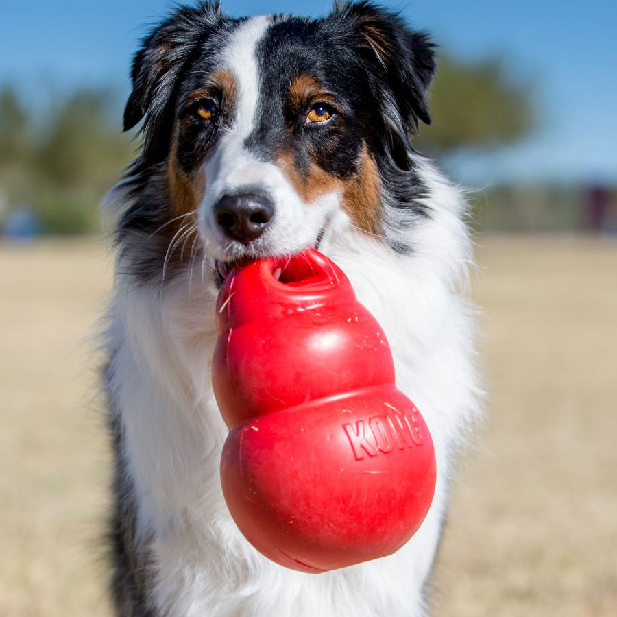 Brinquedo Kong Bounzer para Cães Vermelhos