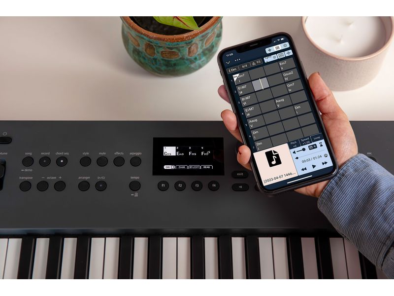 Roland Keyboard GO:KEYS 5 Graphite Keyboard mit 61 anschlagsdynamischen Tasten und Zen-Core Engine