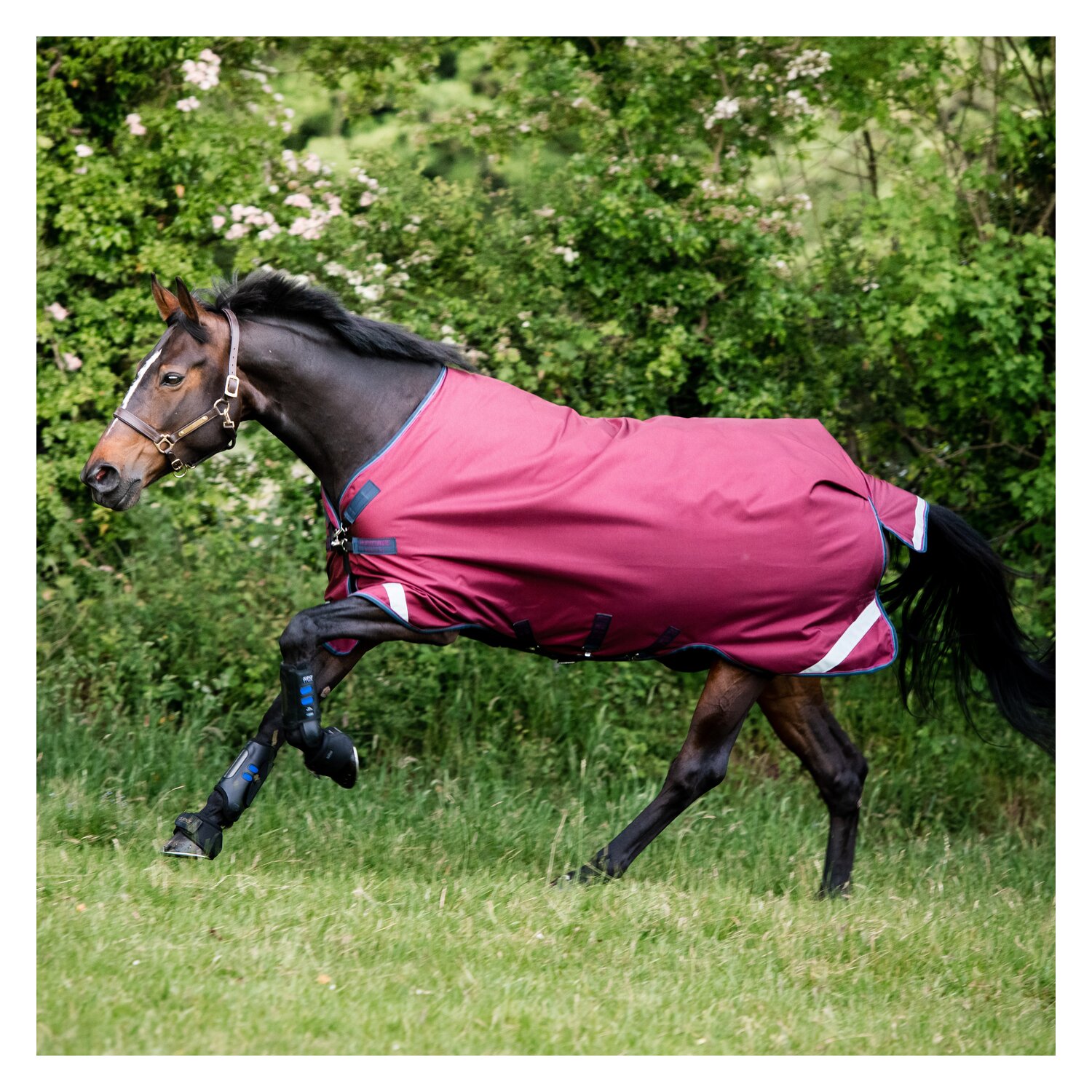 HORSEWARE Outdoordecke RAMBO Original Lite - burgudy