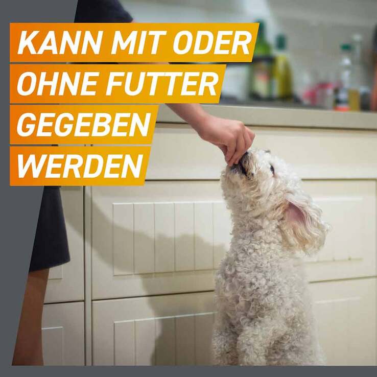 FRONTPRO 136 mg Kautabletten für Hunde 25 - 50 kg, 3 St