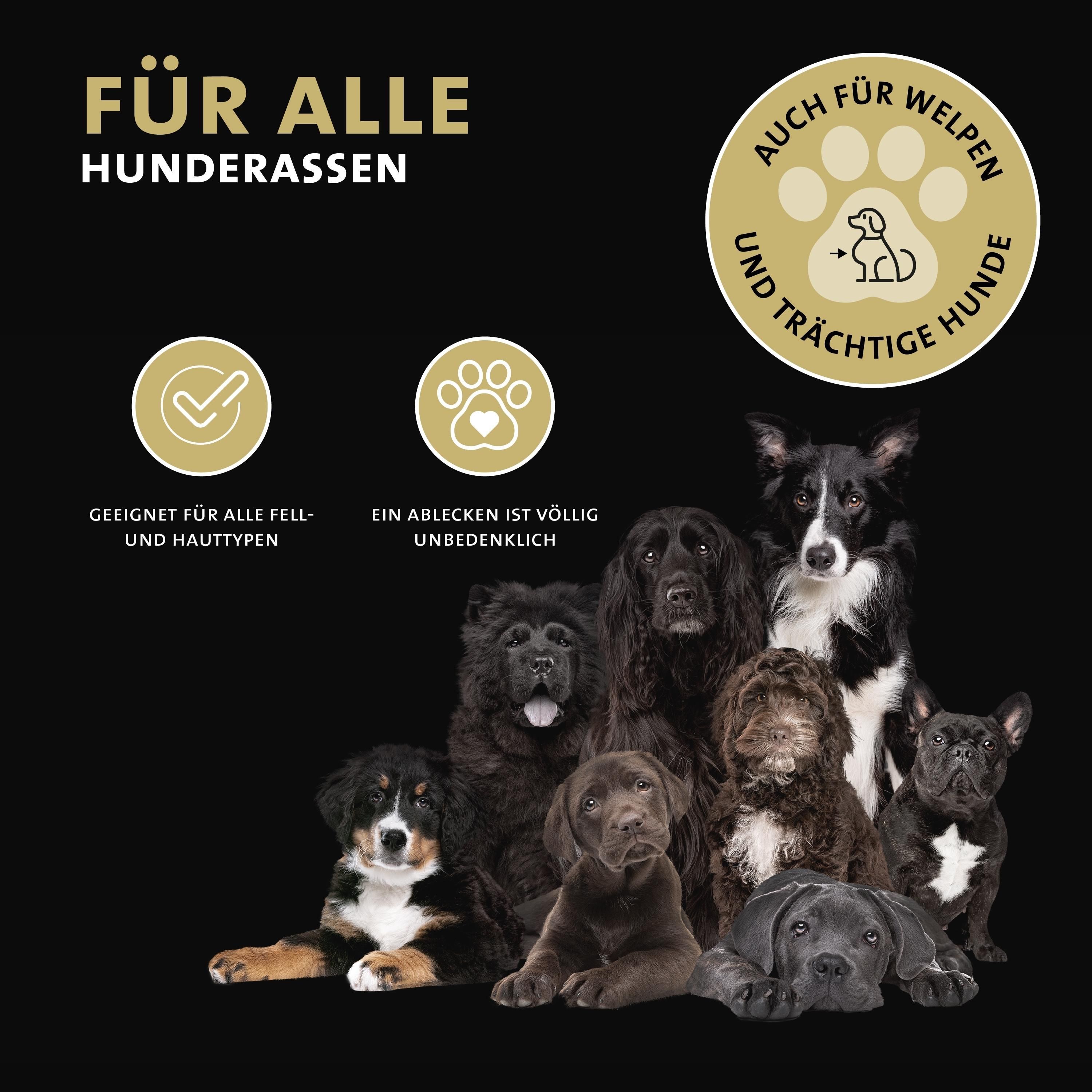 Peticare natürlicher Pfoten-Balsam für Hunde, pflegt verhärtete, trockene Pfoten