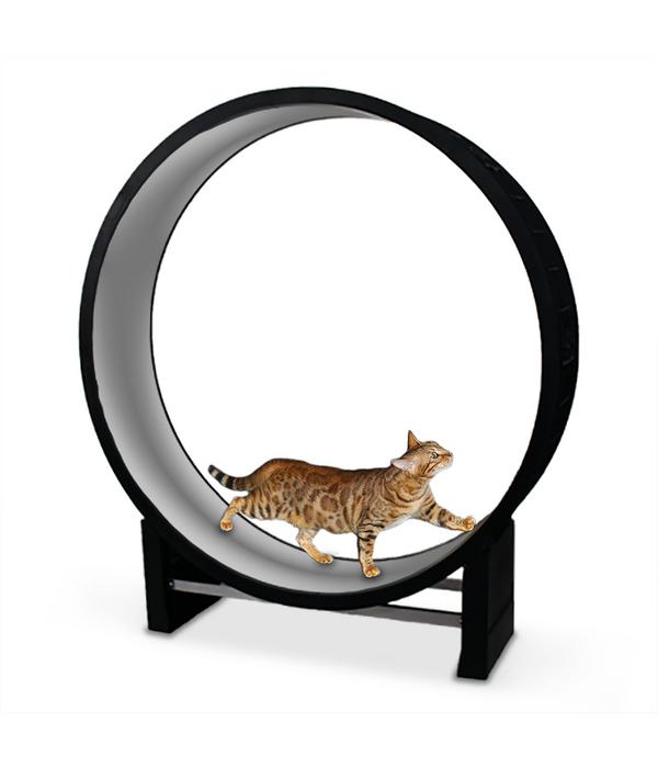 CanadianCat Company® Katzenlaufrad Cat in