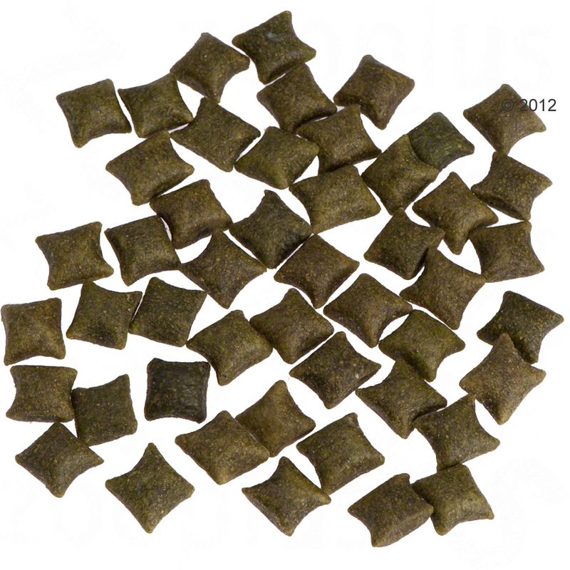 Friandises beaphar Zahnies