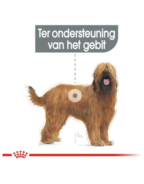 Royal Canin Dental Care Maxi - Hondenvoer