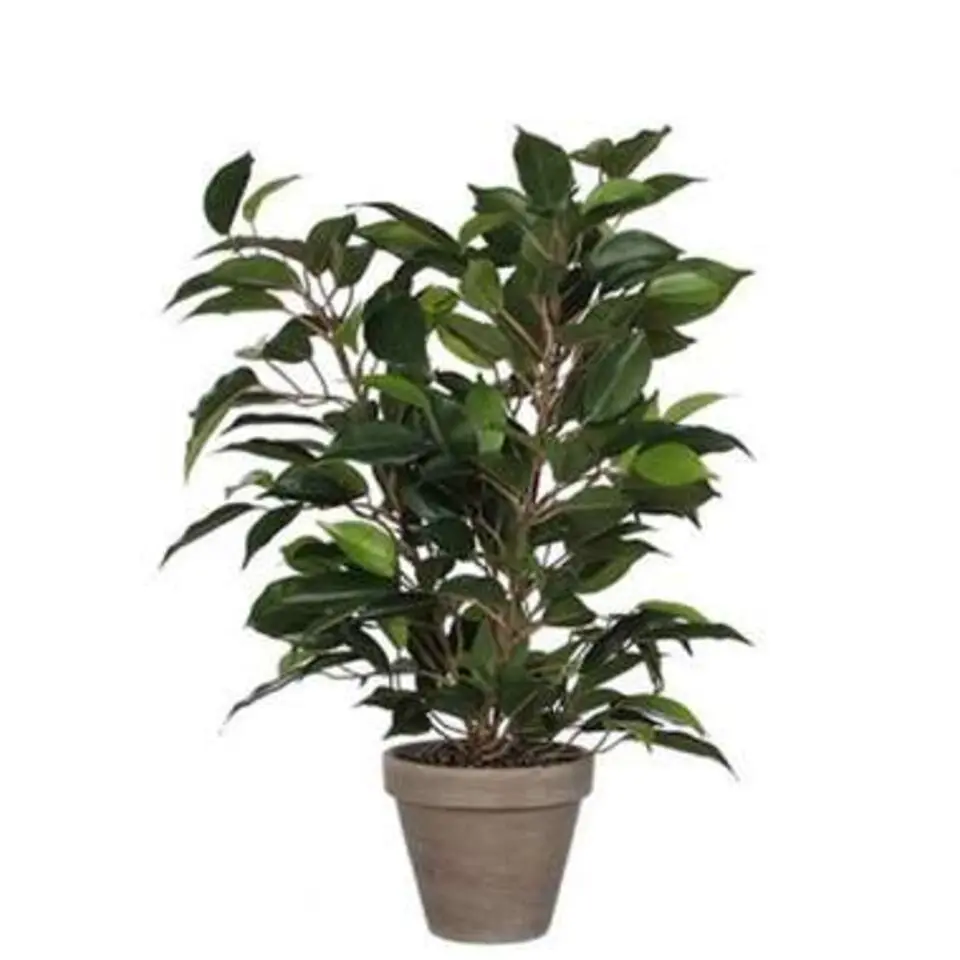 Mica Decorations Kunstplant Ficus - groen - 40 cm - voor binnen