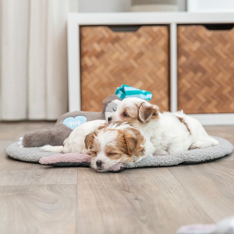 Jouet Trixie Junior Paresseux pour chiot