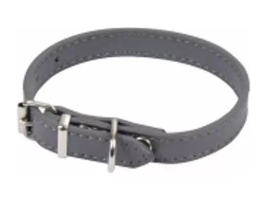 Collier pour Chien 