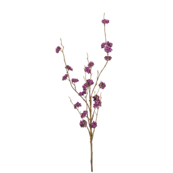Callicarpa spray paars 97cm