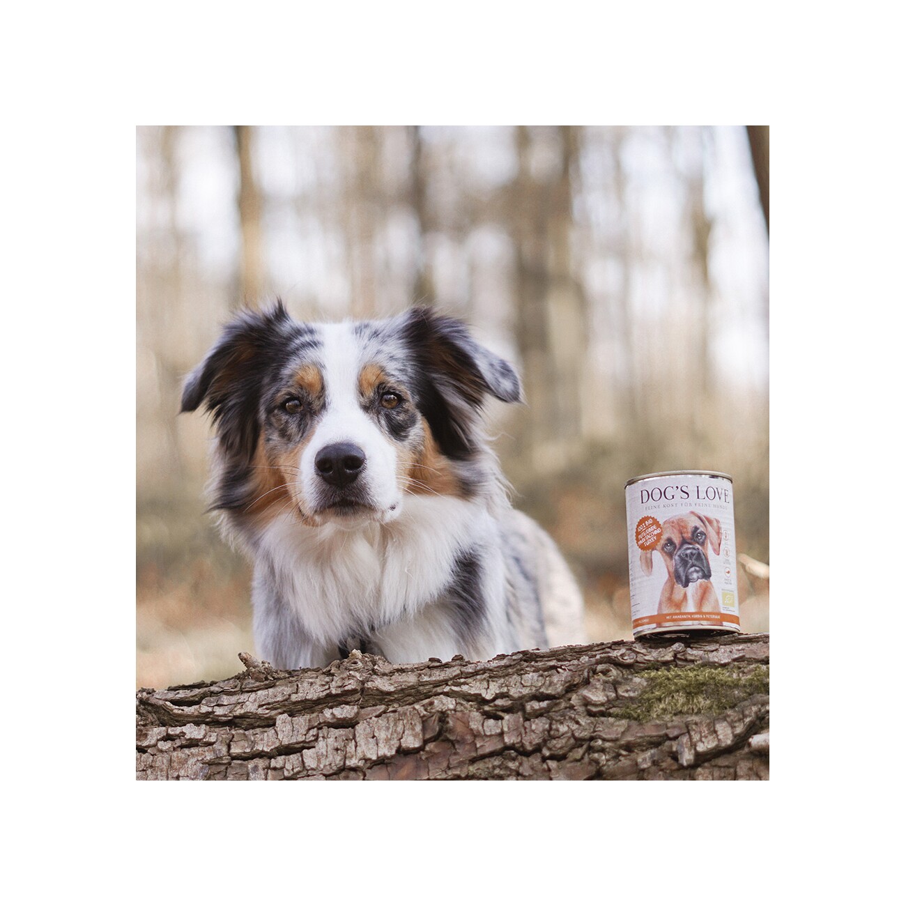 DOG'S LOVE Nassfutter Hund, Adult, Bio 6x400 g Pute mit Amaranth und Kürbis