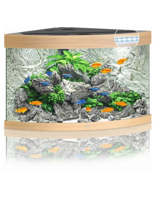 Juwel Aquarium Trigon 190 Led 70x70x60 cm - Aquaria