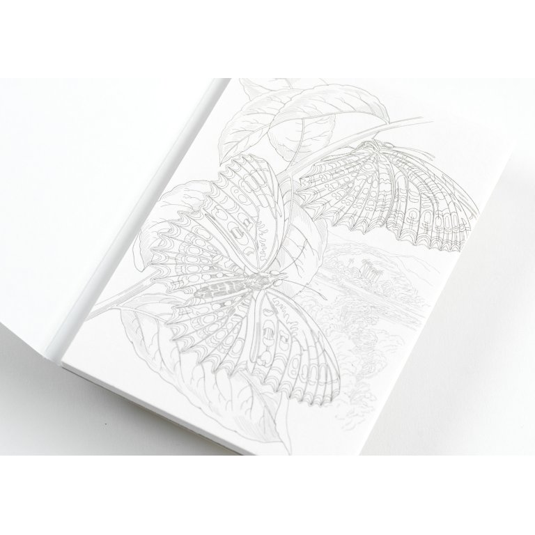 Pepin Künstler-Postkarten-Malbuch Aquarellpapier
