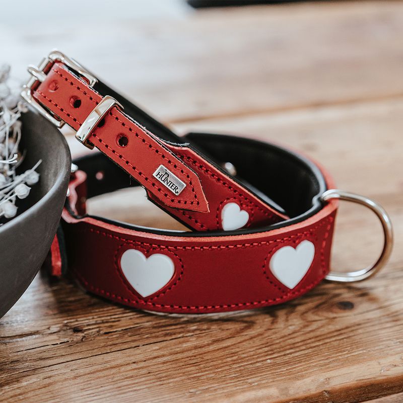Collier HUNTER Love, rouge pour chien