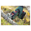 Batteridrevet grensag 18 V
