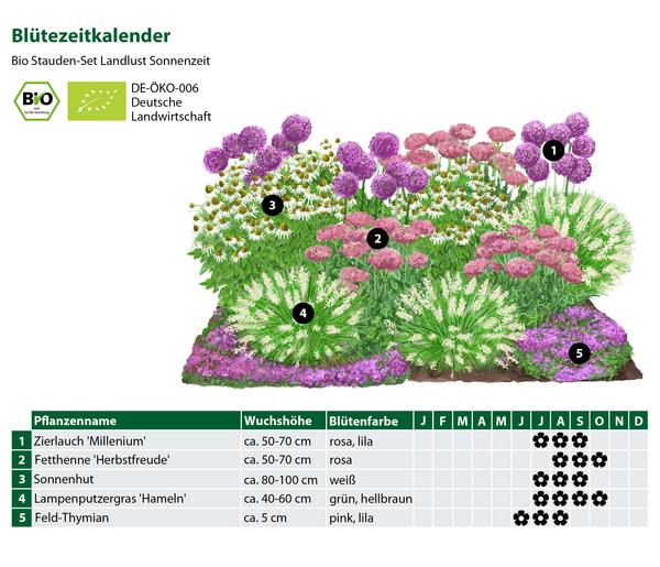 Bio Stauden-Set Sonnenzeit, Landlust
