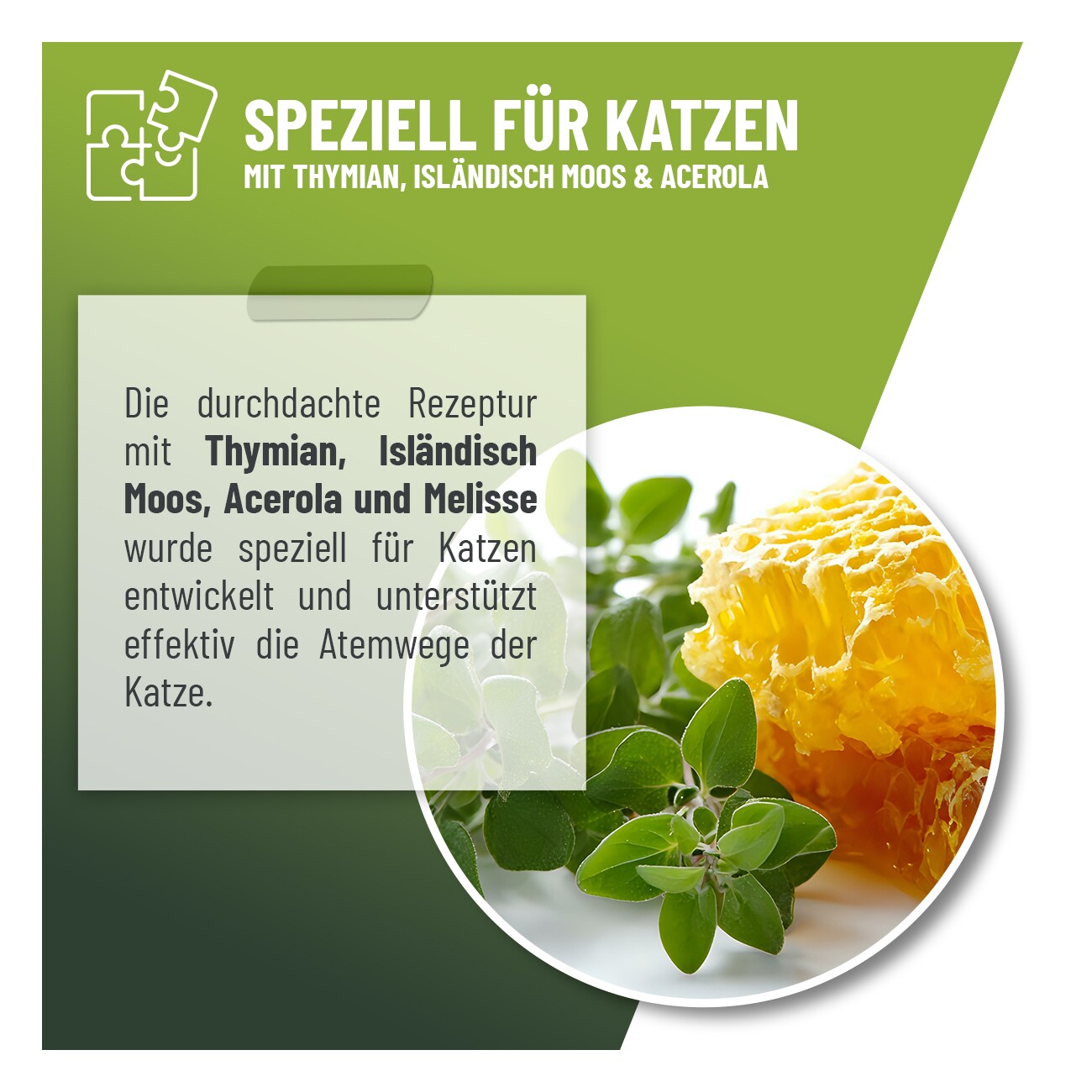 REAVET Hustensaft Tropfen Katzen 50ml