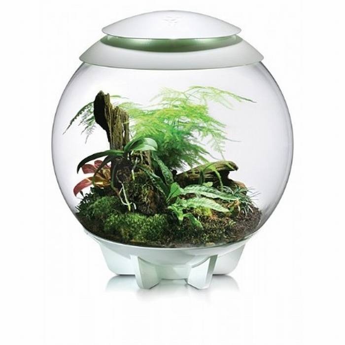 BiOrb Air 60 Wit