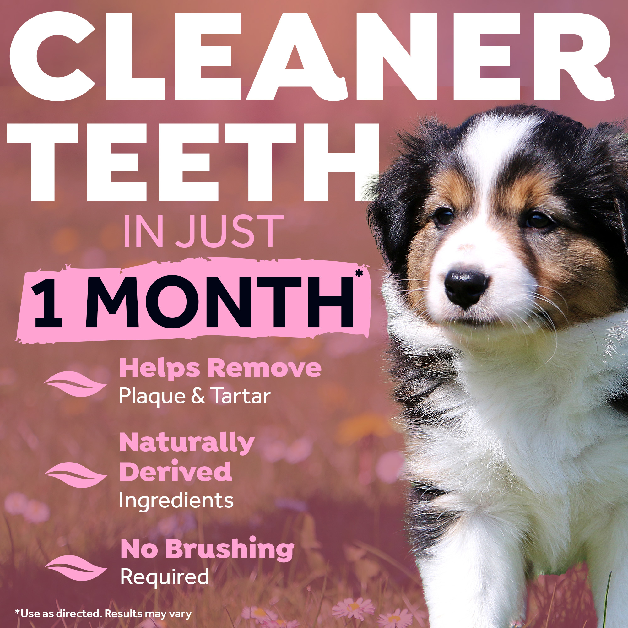 TropiClean - Fresh Breath Puppy Clean Teeth Gel