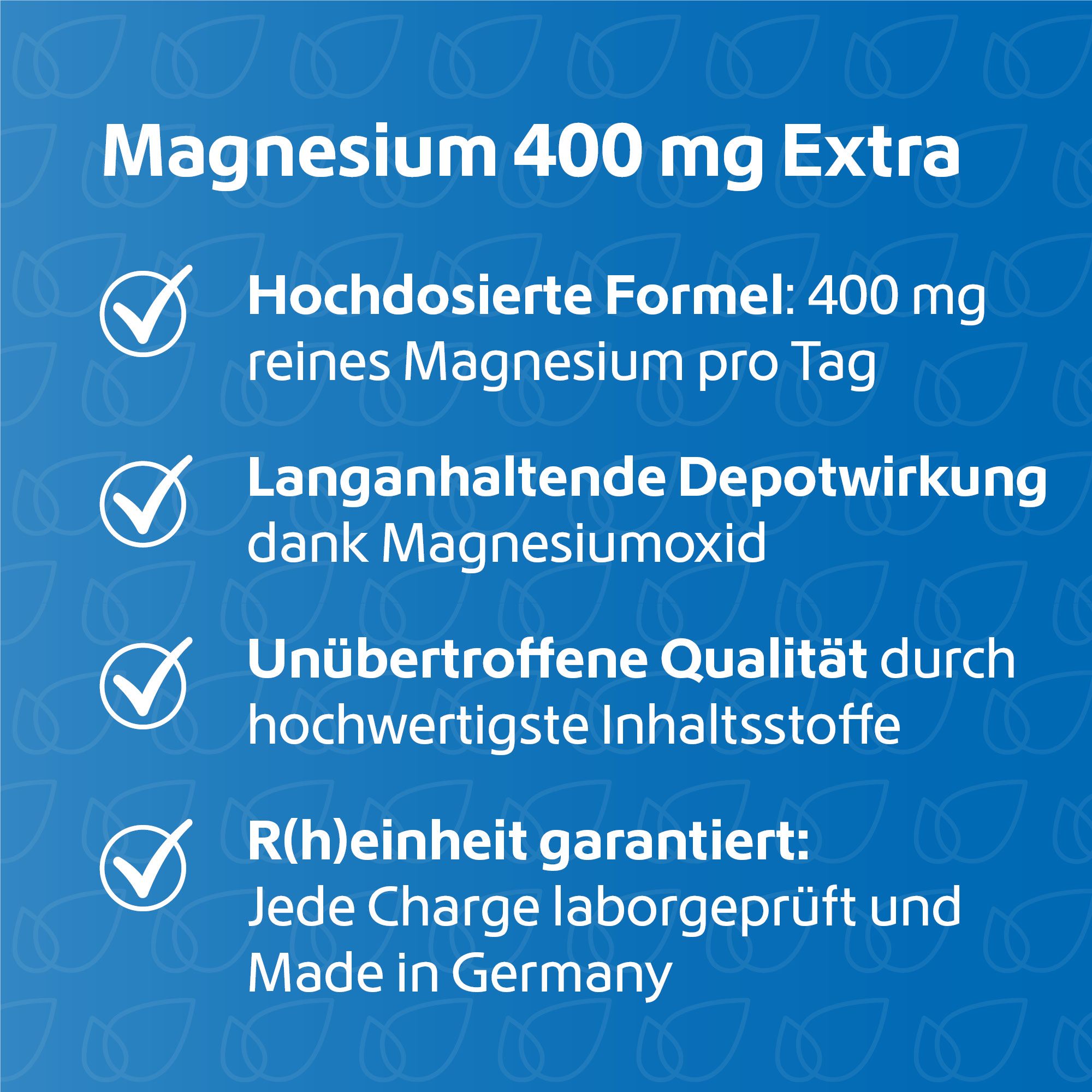 R(h)ein Nutrition Magnesium 400 mg Extra