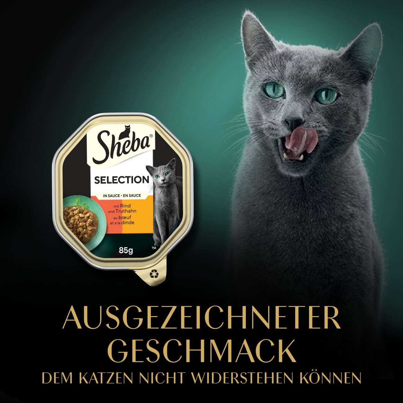 Sheba Selection in Sauce 22x85 g Rind und Truthahn