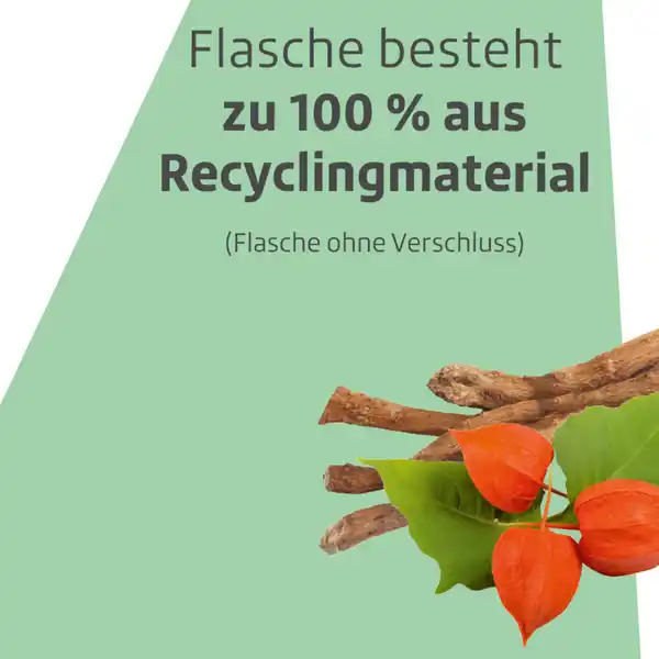 Naturgeheimnisse Ashwagandha