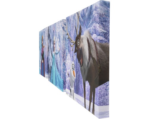 Disney Frozen Canvas Print Set van 3 (3 x 30 x 30 cm)